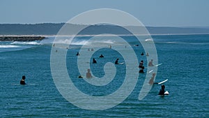 Surfers waiting for Wave and surfing