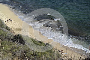 Surfers walking on Oahu