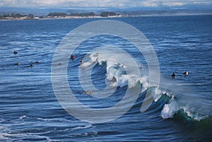 Surfers and Waves photo