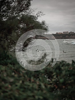 Surfin' in Biarritz photo