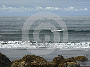 Surfing along the coasts bathed by the Cantabrian Sea.