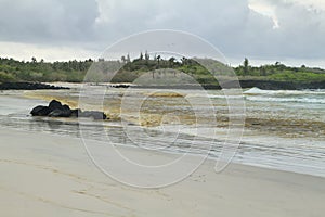 Surfing beach of Tortuga Bay