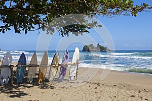 Surfing boards. Caribbean coast, Costa Rica.