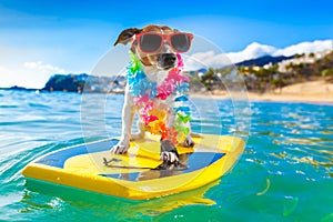 Surfing dog