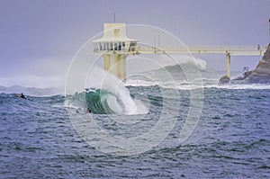 Surfing In Japan `shotgun` the wave in Katsuura Bay.