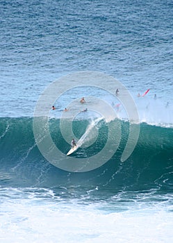 Surfing monsters, Waimea Bay, Hawaii