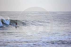 Surfing in the morning at Burleigh Heads