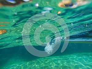 Surfing on the ocean wave photo