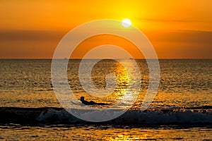 Surfing at Sunset