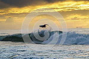 Surfing in Umdloti, KZN, South Africa