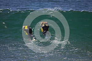 Surfing The Wedge