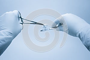 Surgeon and assistent nurse hands