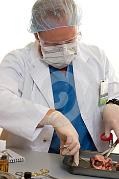 Surgeon or doctor with a kidney