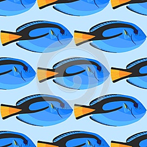 Surgeon fish seamless pattterm. Tropical ocean fish backdrop