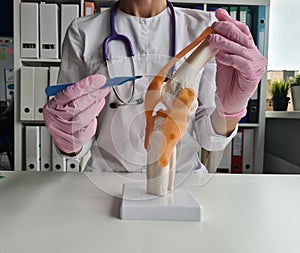 Surgeon holds scalpel near model of knee joint