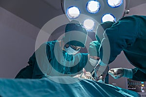 The surgeon team is working in the operating room. The surgeon is saving the patient`s life