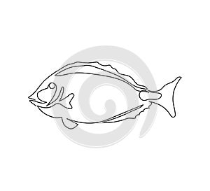 Surgeonfish, acanthuridae, paracanthurus hepatus continuous line drawing. One line art of exotic fish, coral fish