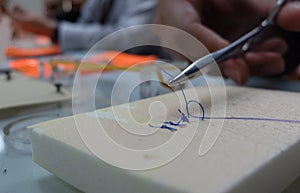 Surgical Instruments used during operation. Needle, holder and suture