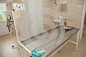 Surgical table for dogs