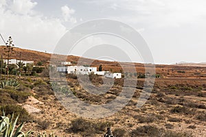 Surginf in canary islands on the waves