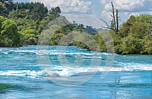 Surging water of Waikato river rushing between bush clad edges