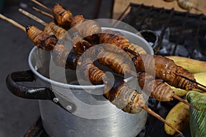 Suri - an Amazonian grub that feeds on palm sap, grilled and served as a snack food in Iquitos, Peru