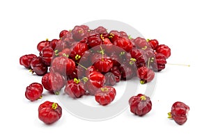 Surinam Cherry