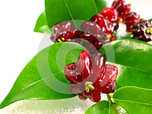 Surinam cherry (Eugenia uniflora)