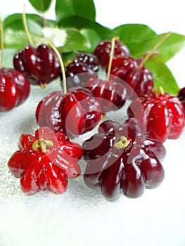 Surinam cherry (Eugenia uniflora)