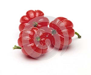 Surinam Cherry