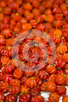 Surinam cherry pitanga on the market photo