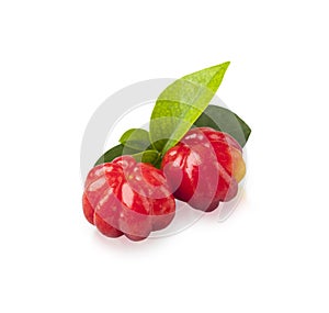 Suriname Cherry, the tropical fruit photo