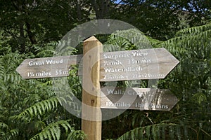 Surprise View Signpost, Keswick; Lake District