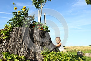 Surprised baby boy climbing stump with flowers