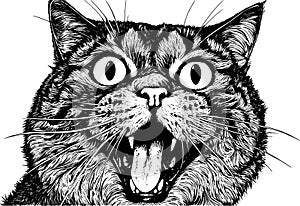 Surprised cat with bie eyes and open mouth, black and white ink style