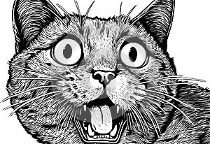 Surprised cat with bie eyes and open mouth, black and white ink style