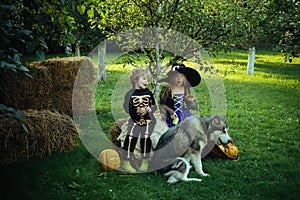 Surprised group little zombie in Halloween costume eating treat, calaverita sweets candles. jack-o-lantern. Funny group photo