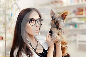 Surprised Veterinarian Female Doctor with Cute Dog