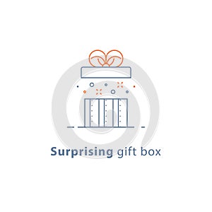 Prize give away, surprising gift, unusual present, fun experience, gift idea concept, line icon