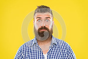 Surprising news. Man bearded hipster wondering face yellow background close up. Guy surprised face expression. Hipster