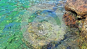 A surreal abstract shifting background reminiscent of rippling water. Green azure turquoise blue transparent sea water