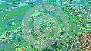 A surreal abstract shifting background reminiscent of rippling water. Green azure turquoise blue transparent sea water