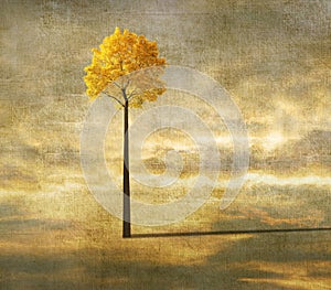 Surreal background with lonely tree