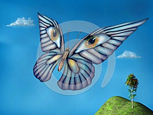 Surreal butterfly