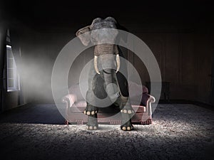 Surreal Elephant, Sitting, Old House