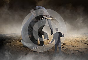 Surreal Elephant Think, Ideas, Innovation photo