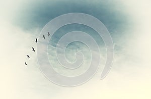 surreal enigmatic picture of flying birds . minimalism and dream concept.