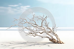 The Surreal Existentialism of a Tree Standing in the Sand