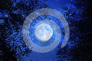 Surreal fantasy concept - full moon with stars glitter in night skies background.