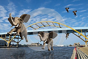 Surreal Flying Elephants, Amazing Wildlife